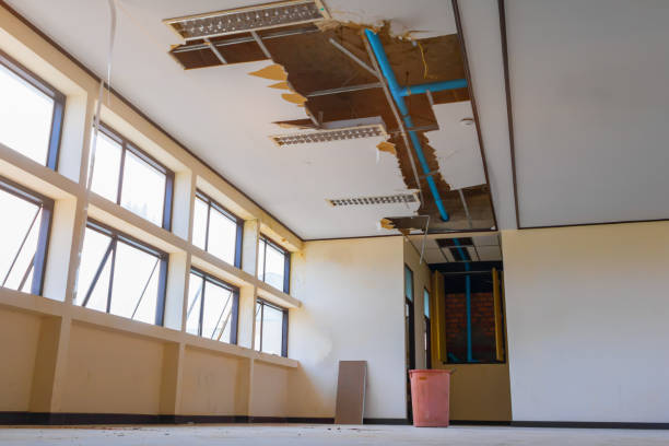 Best Basement water damage restoration  in Pacific City, OR