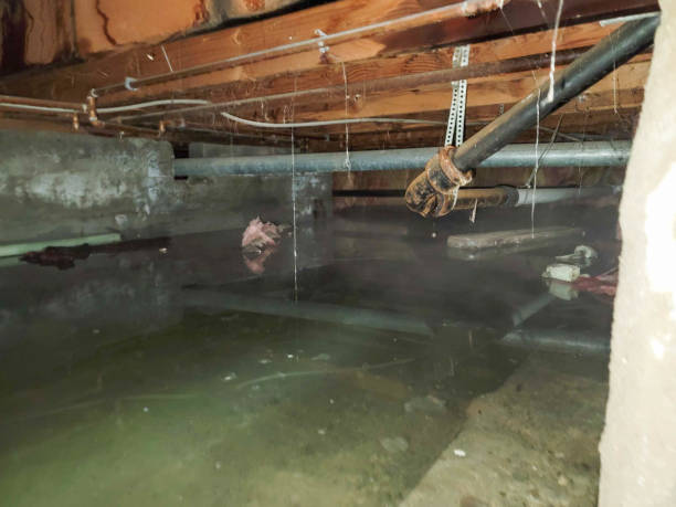 Reliable OR Water damage restoration Solutions