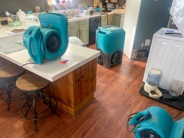 Best Professional water damage repair  in Pacific City, OR