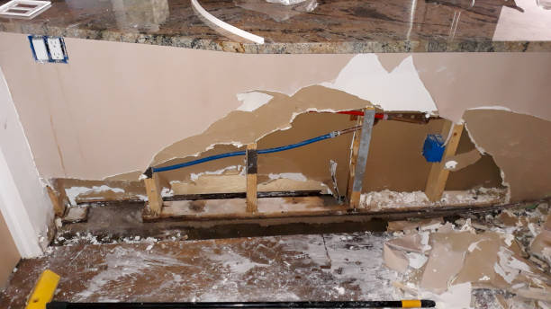 Best Water damage contractors near me  in Pacific City, OR