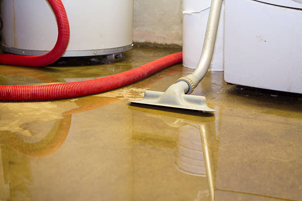 Best Water damage restoration cost  in Pacific City, OR