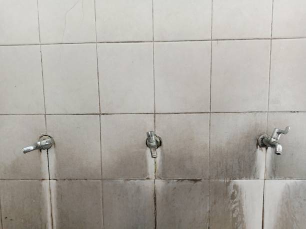 Best Water damage restoration services  in Pacific City, OR