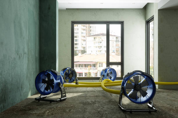Best Commercial water damage restoration  in Pacific City, OR