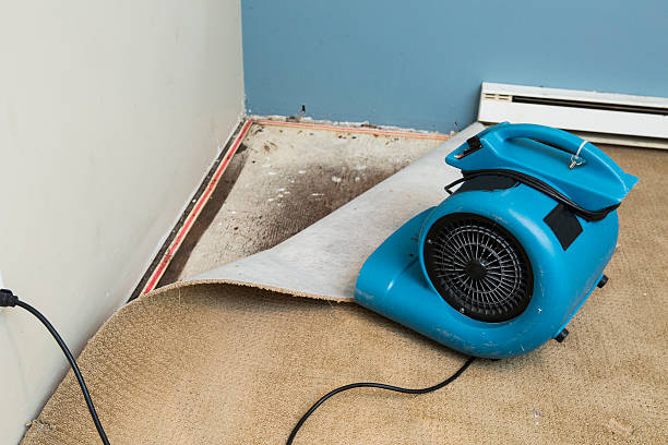 Best Water damage restoration experts  in Pacific City, OR